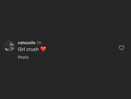 @catsusilo commented